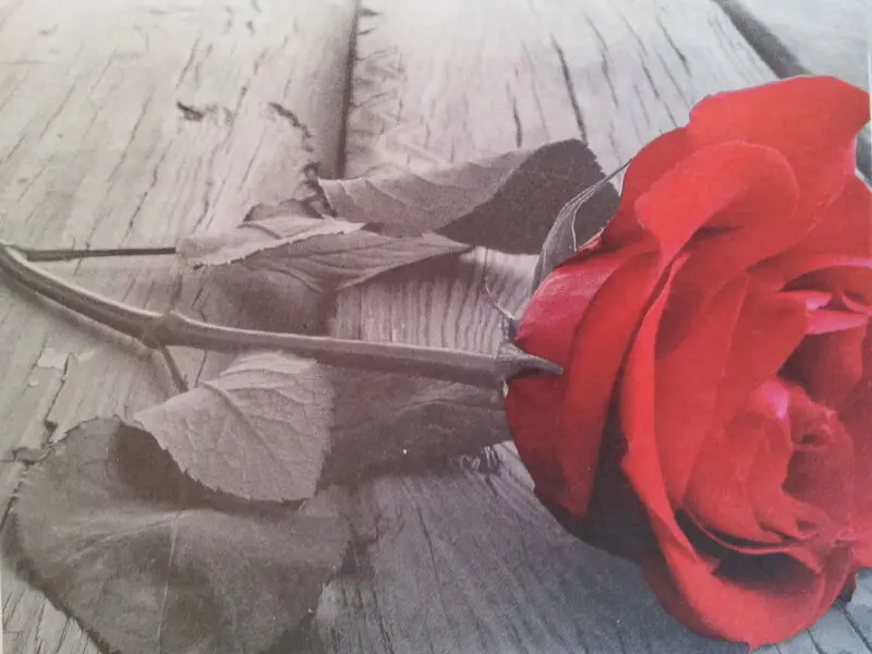 Condolence image of Claudia