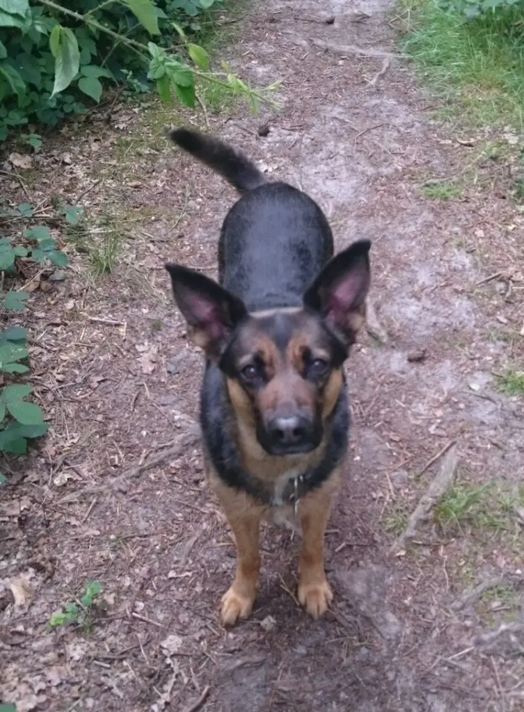 Condolence image of Tanja