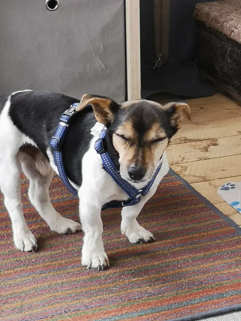 Image from Spike