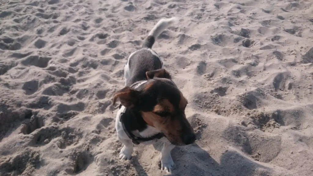 Image from Spike