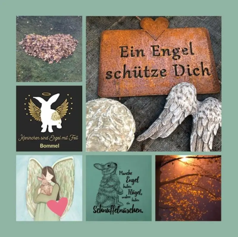 Condolence image of Eine weiße Rose für Bommel