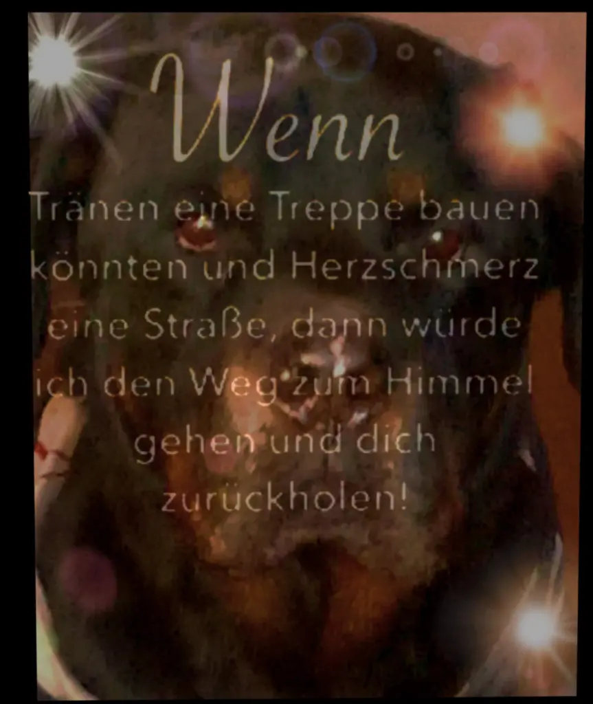 Image from Brutus