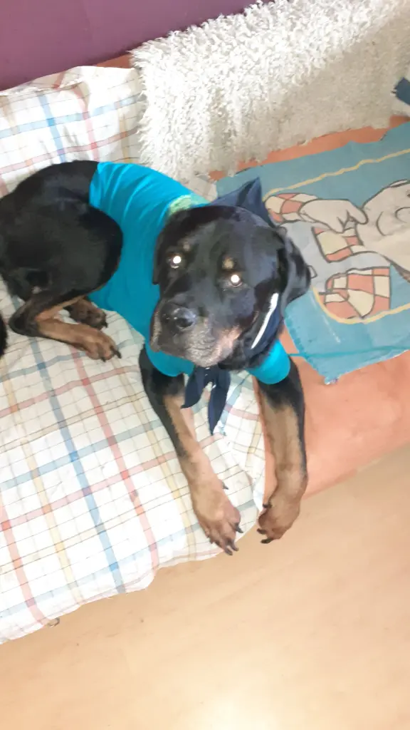 Image from Brutus