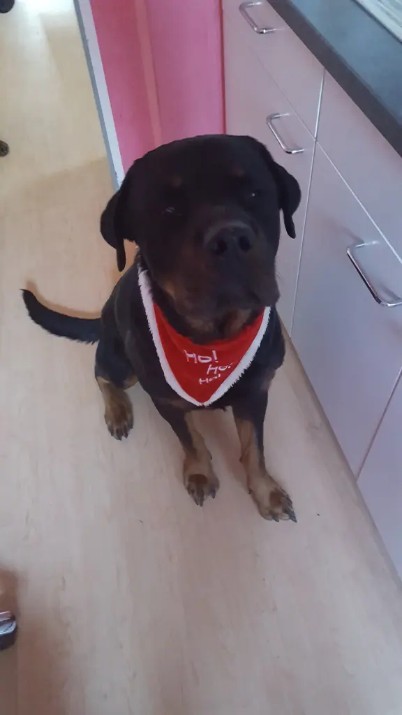 Image from Brutus