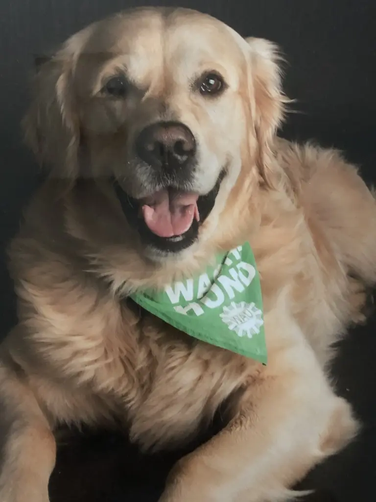 Andachtsbild von für Barney ❤️