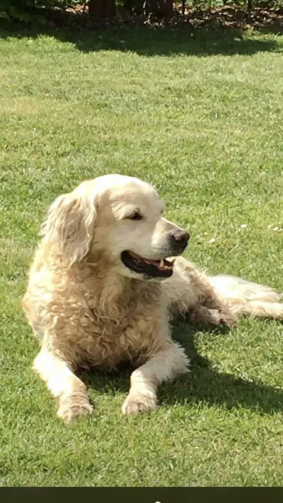 Andachtsbild von ❤️❤️