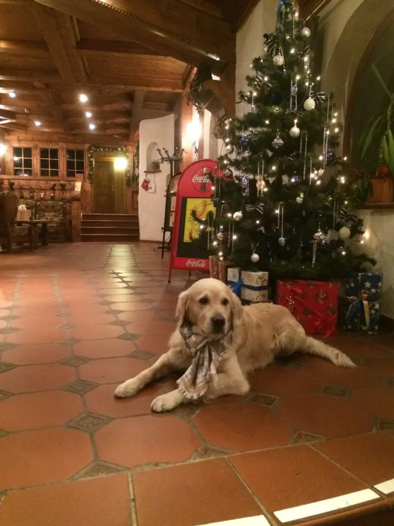 Andachtsbild von ❤️❤️