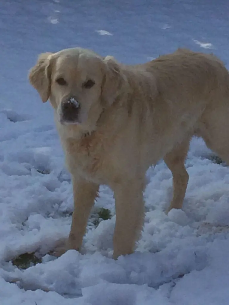 Andachtsbild von Andy und Piet ❤️