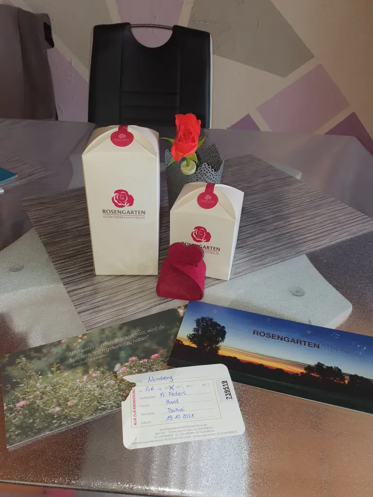 Image from Tschini
