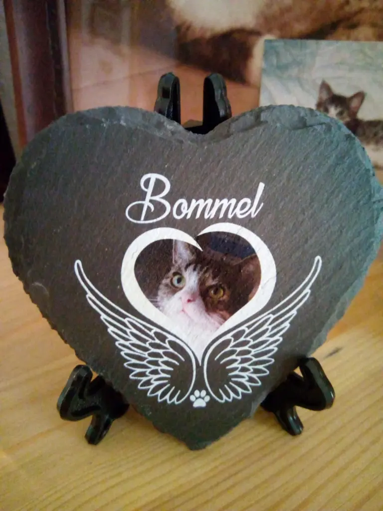 Image from Bommel