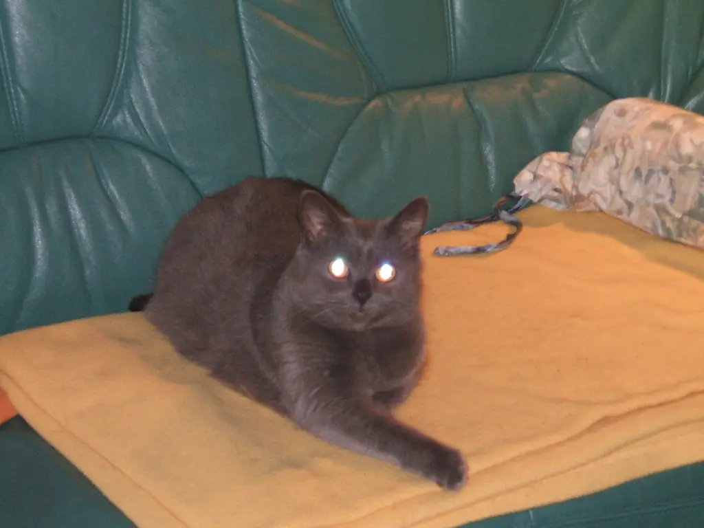 Image from Blue
