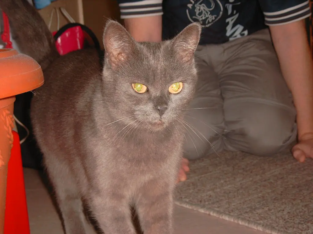 Image from Blue