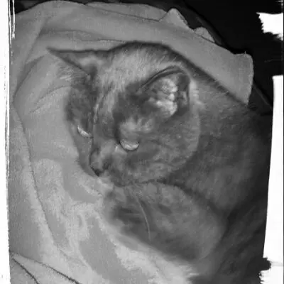 Image from Blue