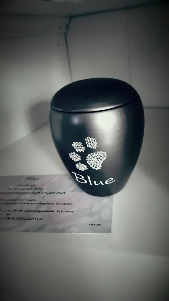 Image from Blue