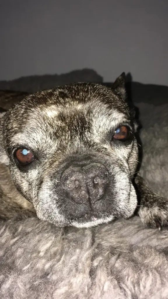 Condolence image of Sabine