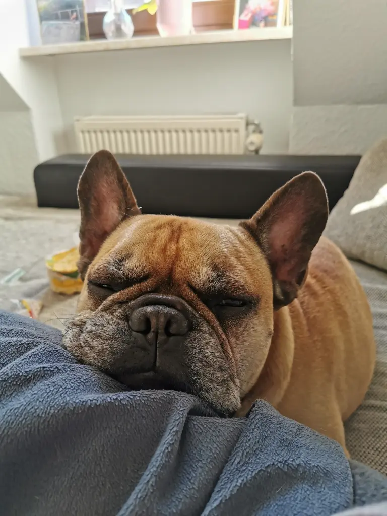 Image from Romeo