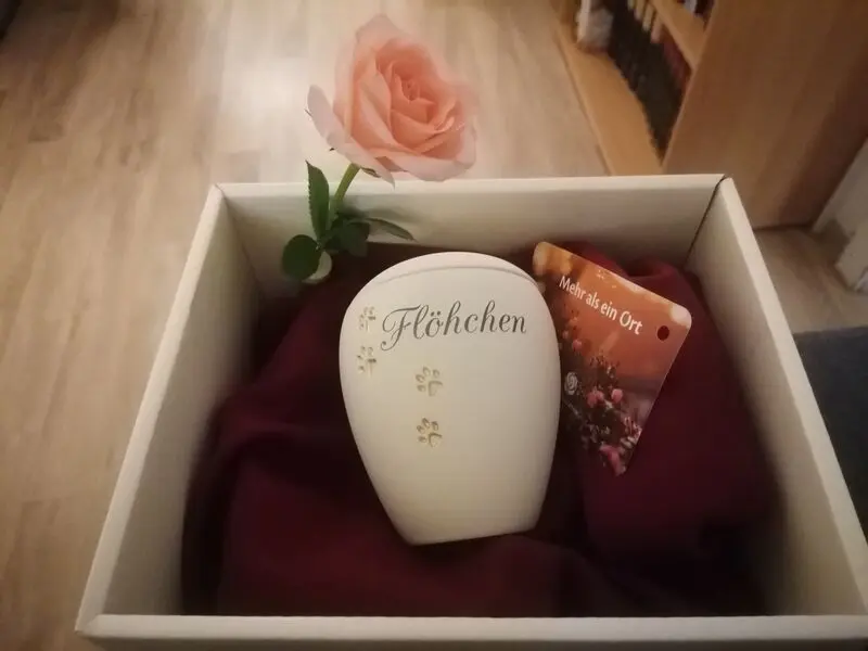 Condolence image of Ute Labion