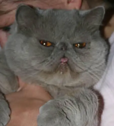 Bild von Männy (Drecksack)