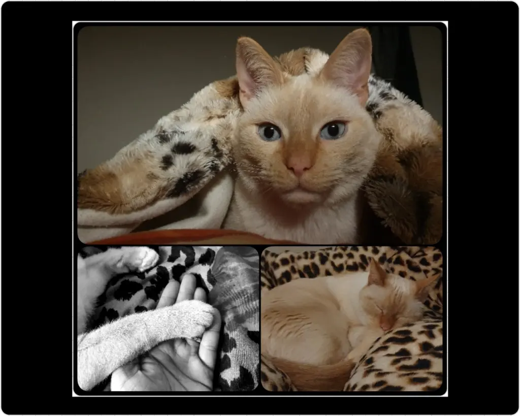 Image from Azrael