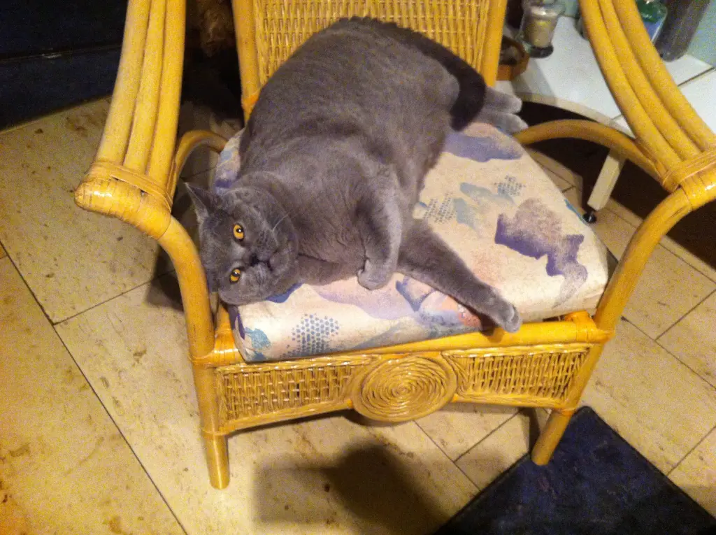 Condolence image of Elke