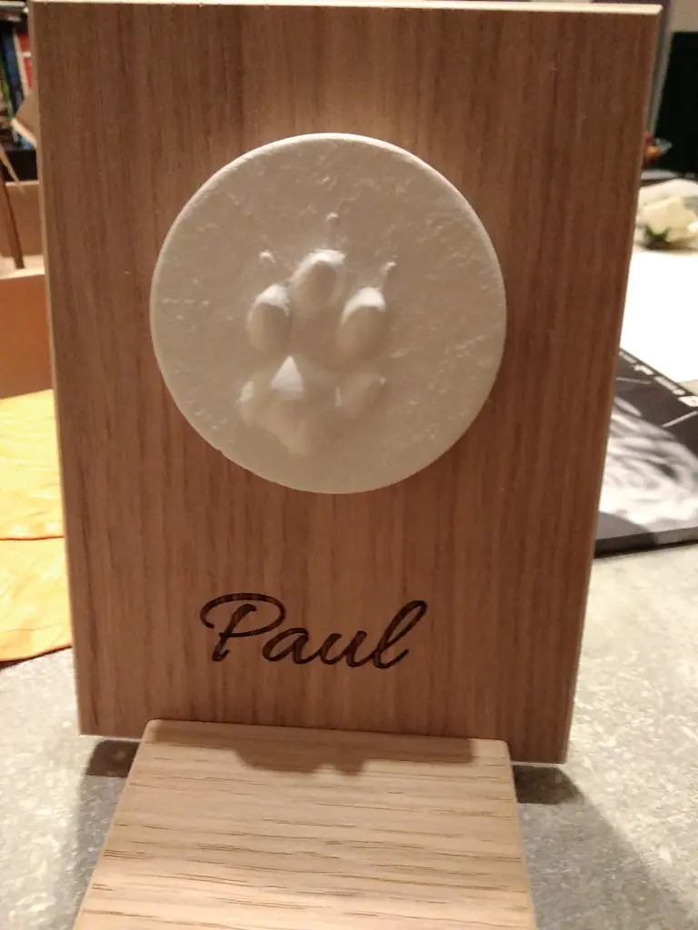 Image from Paul