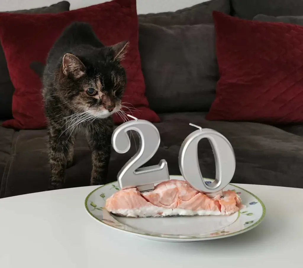 Image from Findus
