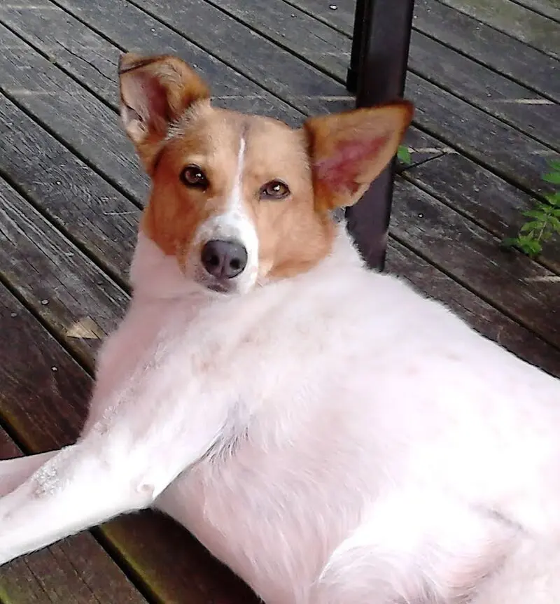 Condolence image of Claudia