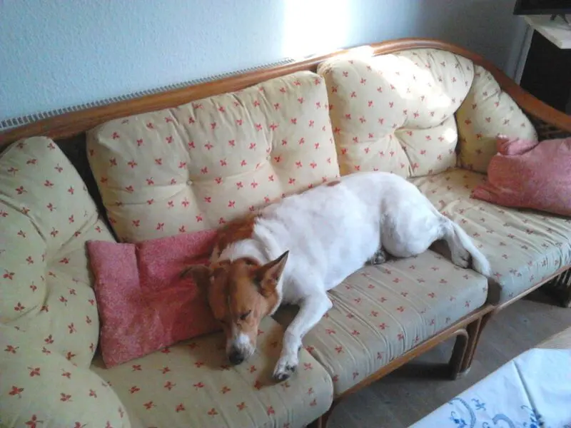 Condolence image of Claudia