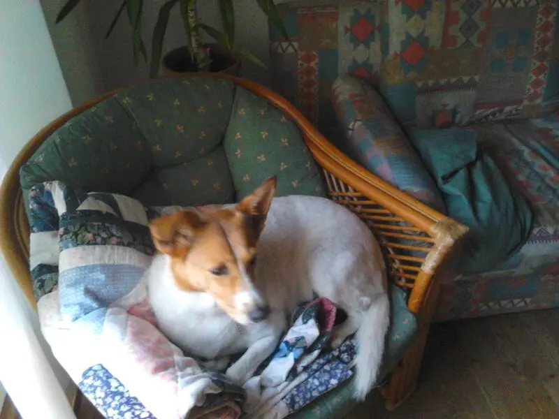 Condolence image of Claudia