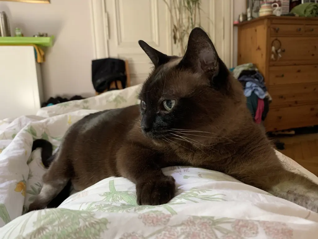 Image from Minka