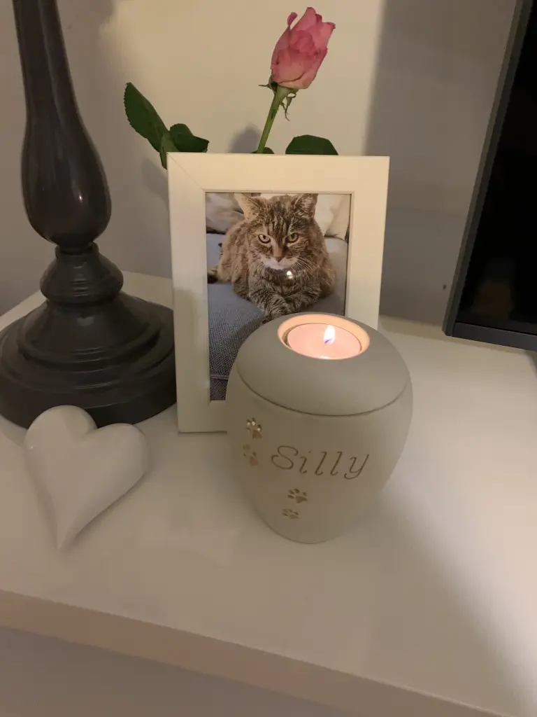 Condolence image of Nicole Anken