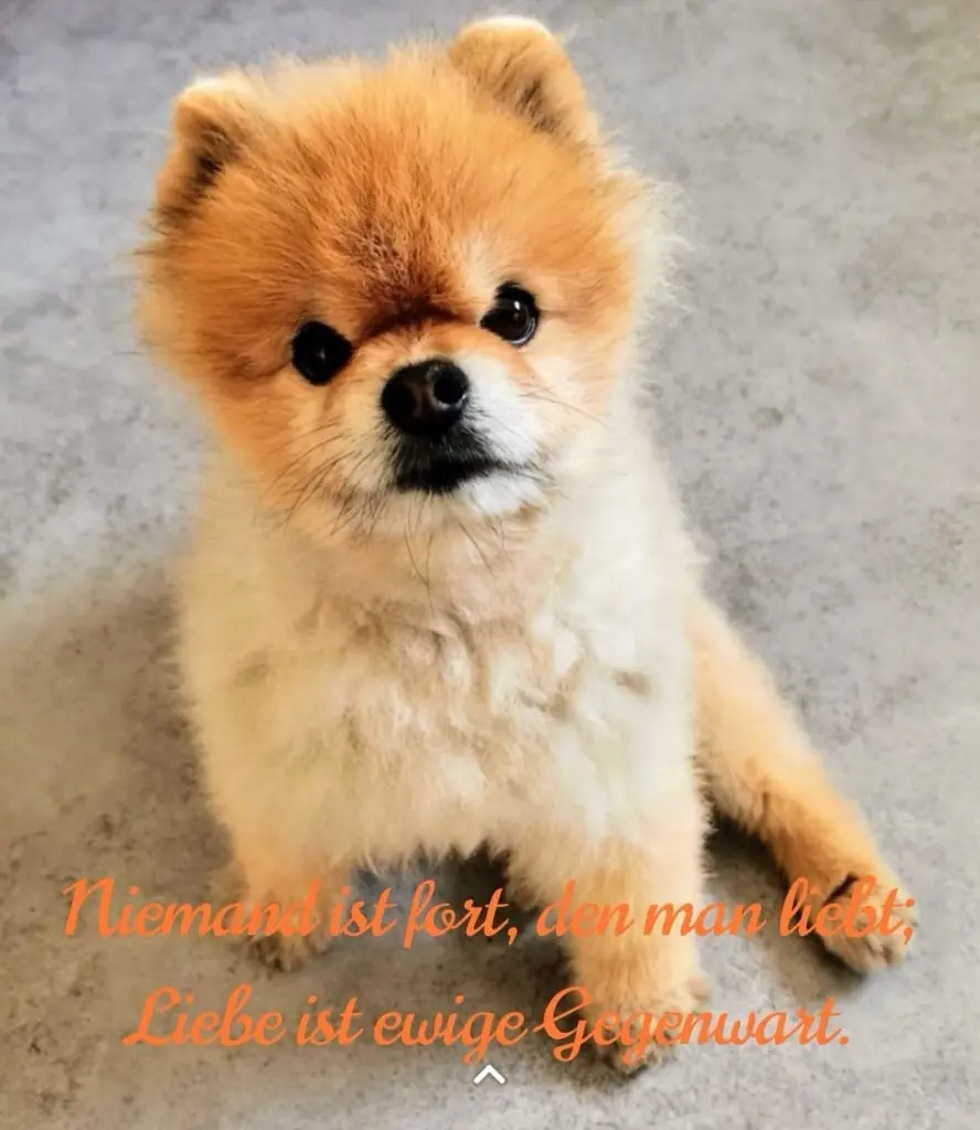 Image from Paco