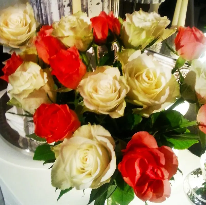 Condolence image of Johana