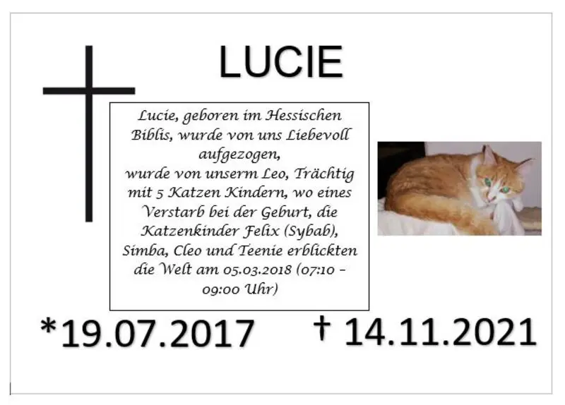 Image from Lucie