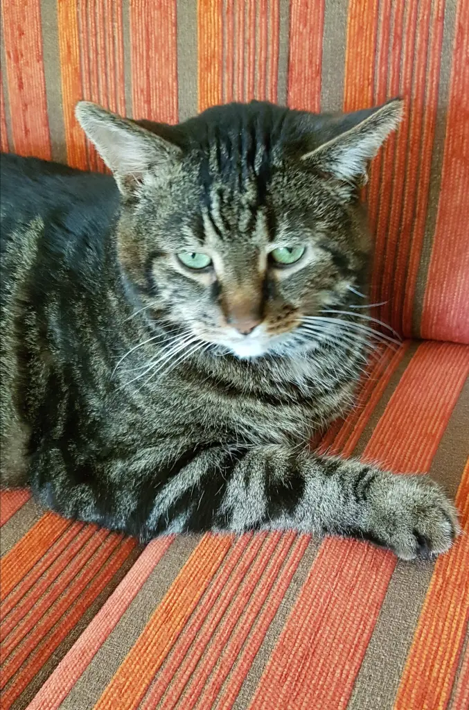 Condolence image of Elke