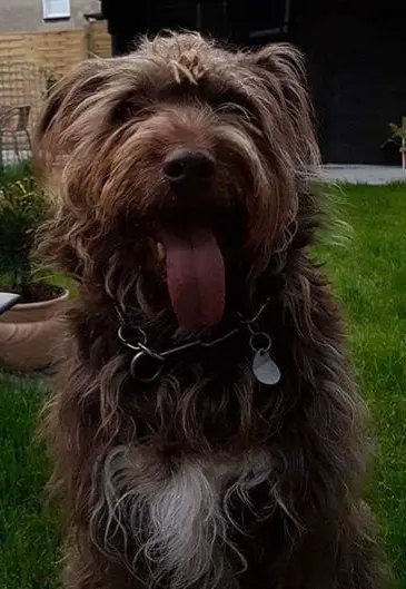 Image from Ernie