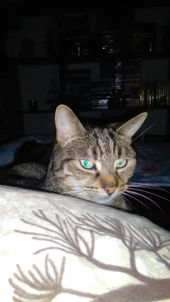Image from Ruby