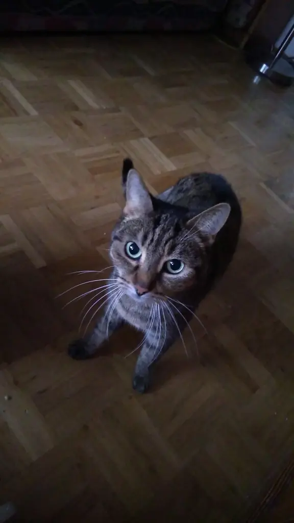 Image from Ruby
