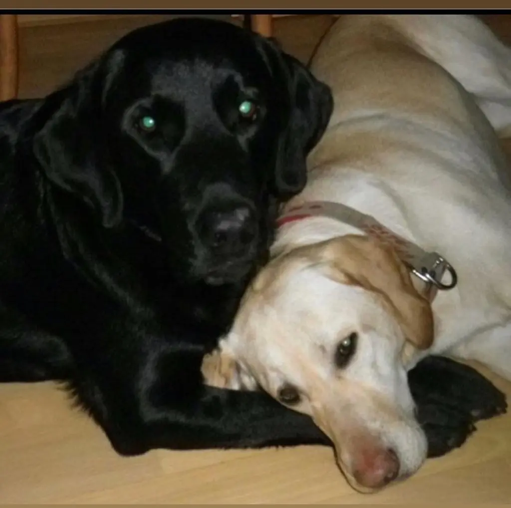 Andachtsbild von Leyla Woltan und Izel