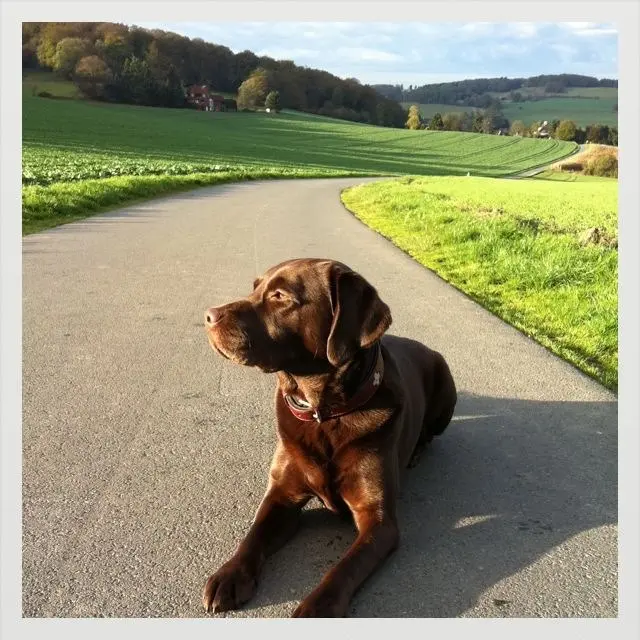 Image from Feeby