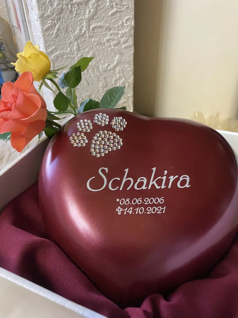 Image from Schakira