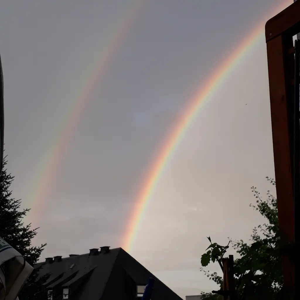 Image from Sandy