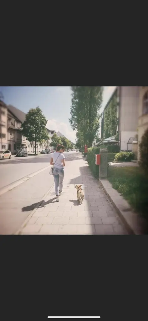 Image from Milo