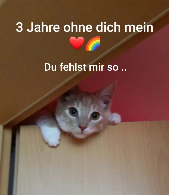 Condolence image of Deine Mama