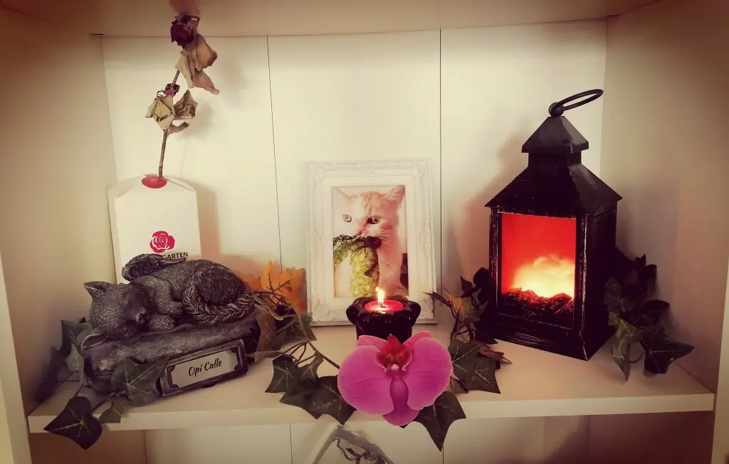 Condolence image of Stephie, Caruso, Sammy & Fingal