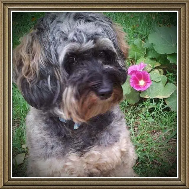 Image from Nelly
