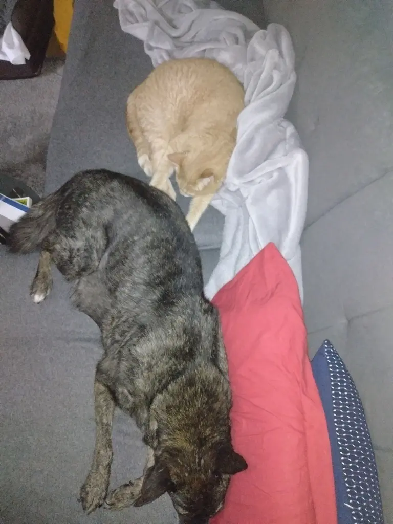 Image from Stefko