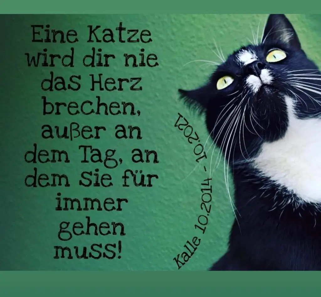 Image from Kalle