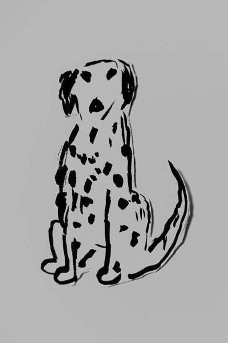 Condolence image of Lumi und Alex