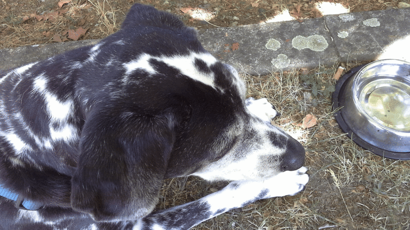 Condolence image of Lumi und Alex